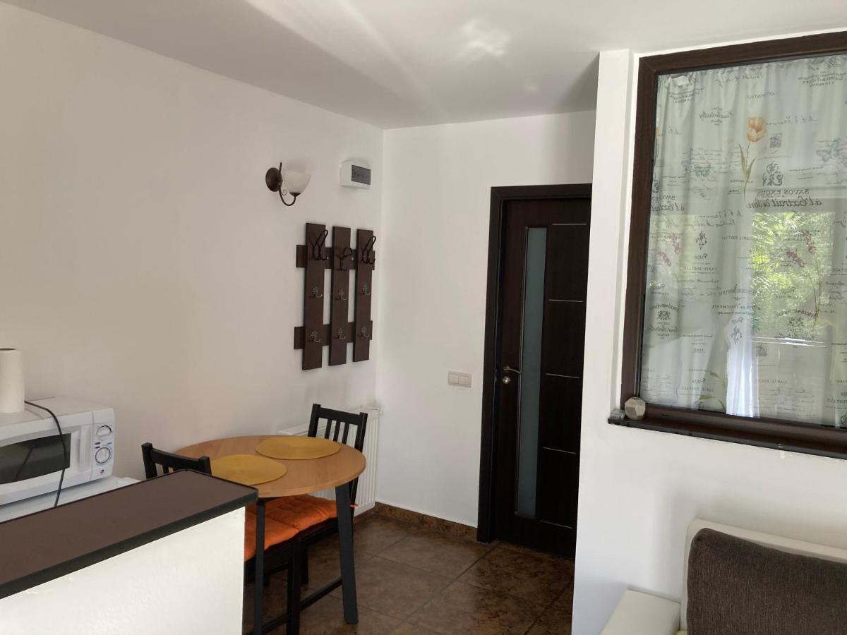 Ski View Studio - Near The Ski Slopes أَزوغا المظهر الخارجي الصورة