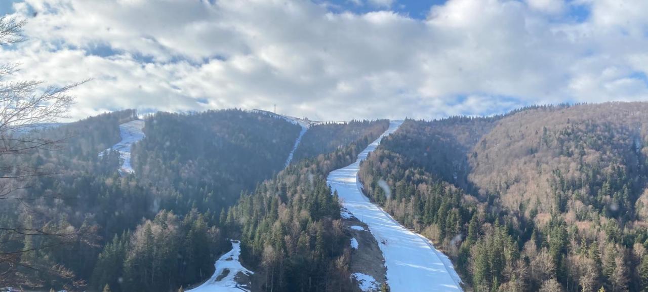 Ski View Studio - Near The Ski Slopes أَزوغا المظهر الخارجي الصورة